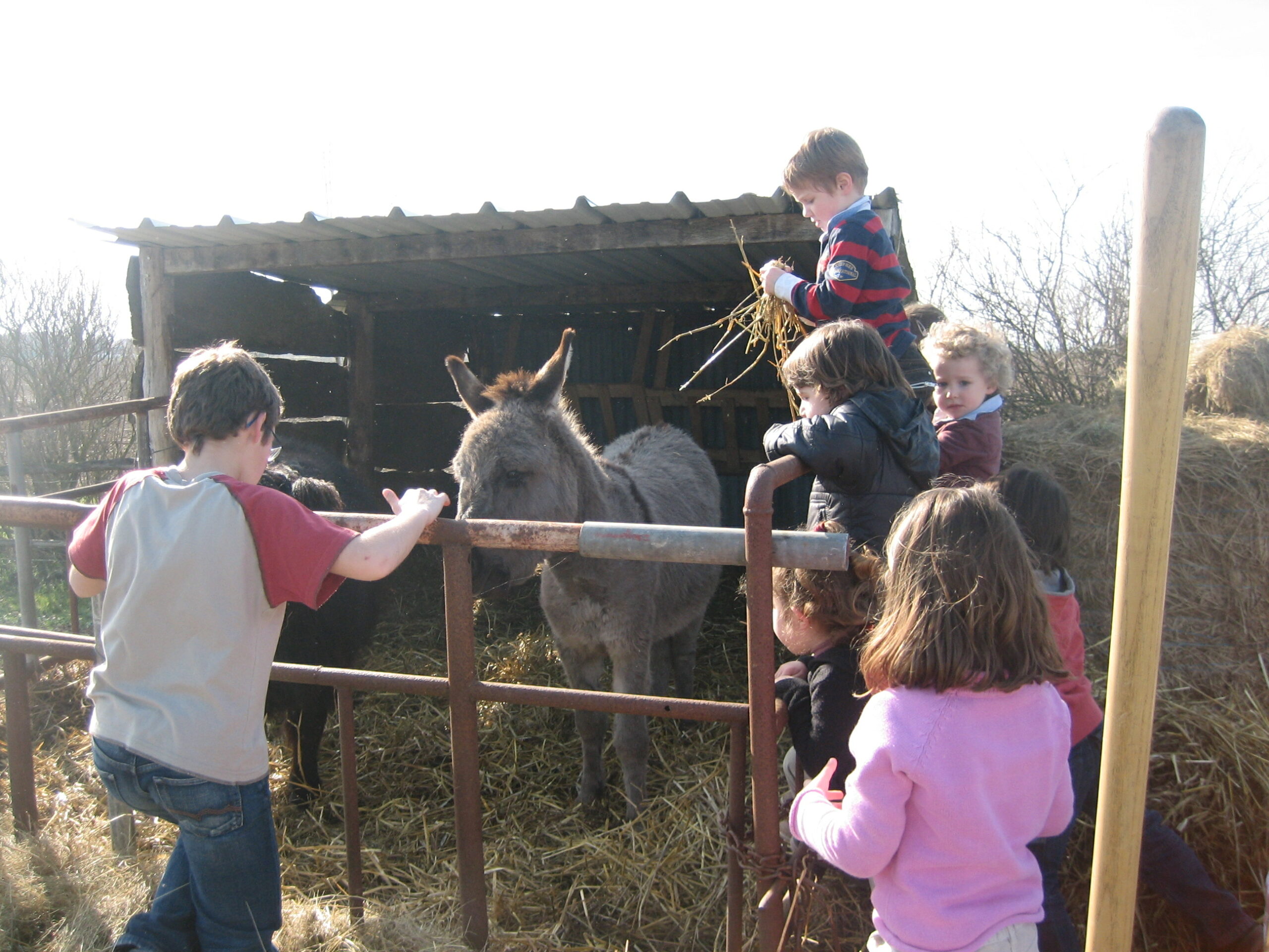Entrée visite enfant