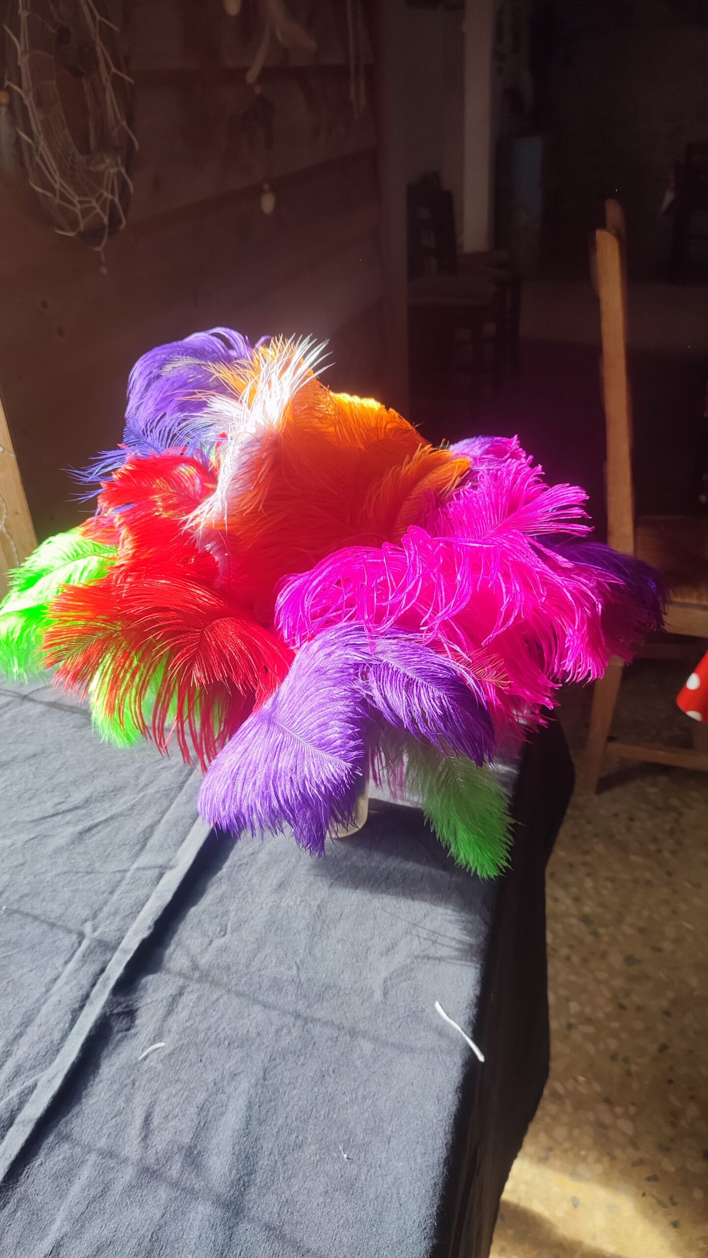 Petite Plume teintée de 35 cm