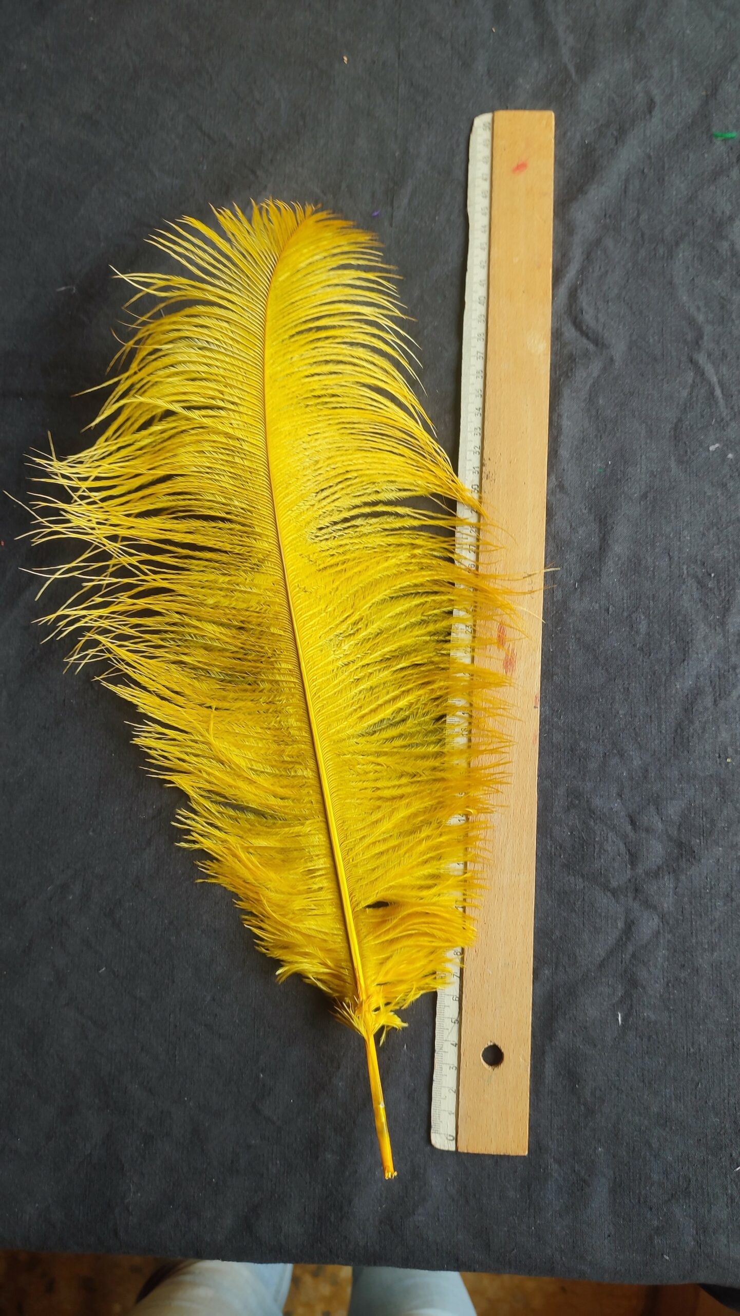 Moyenne Plume Teintée 45 cm