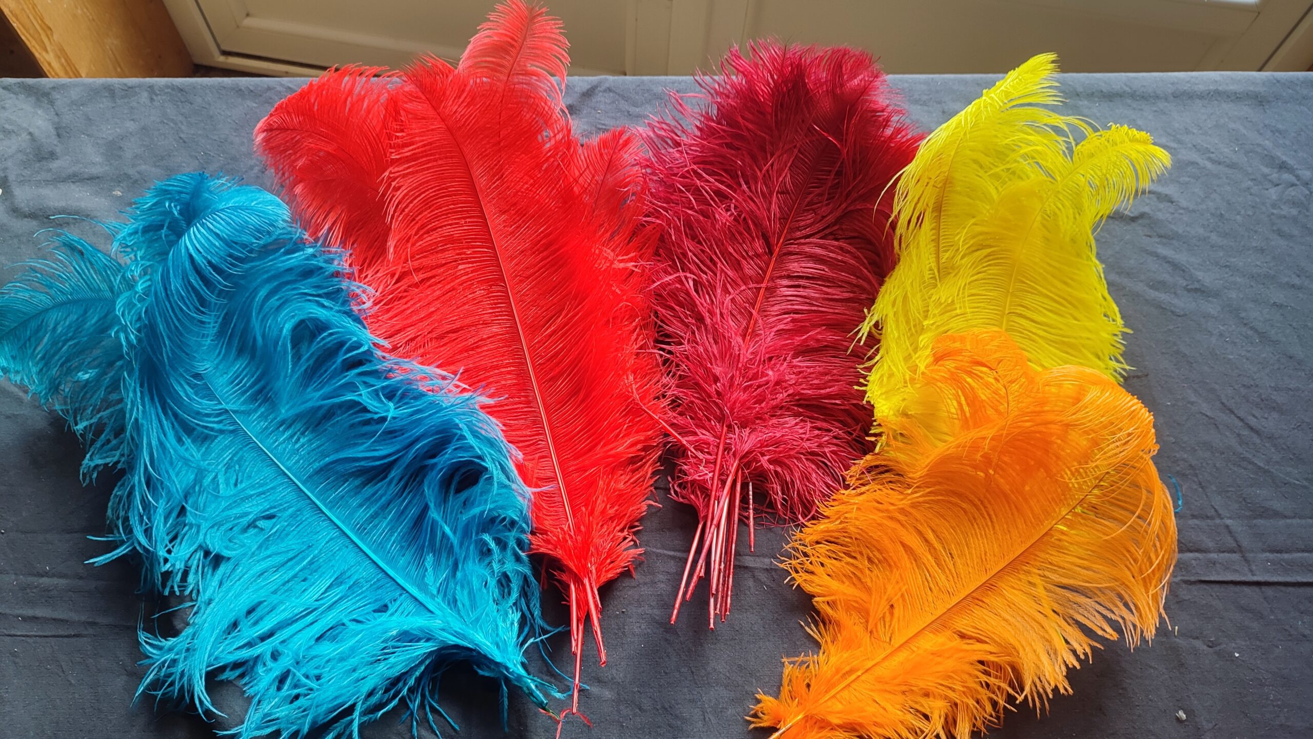 Grande Plume teintée de 50 cm