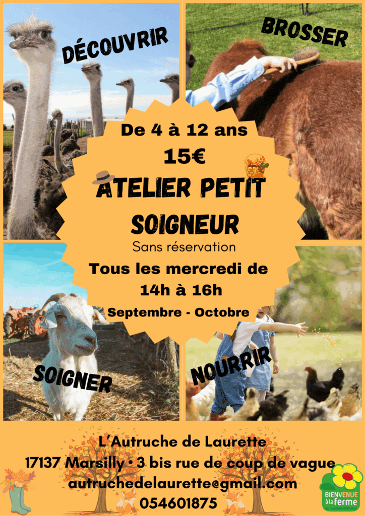 Atelier Petit Soigneur