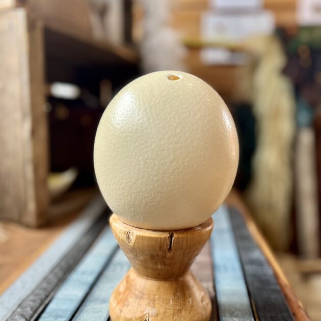 Œuf décoratif (vide)