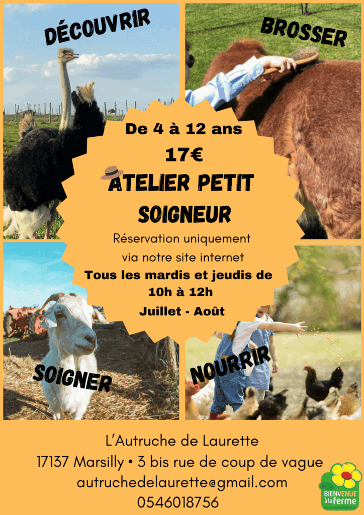 Atelier petit soigneur été 2026